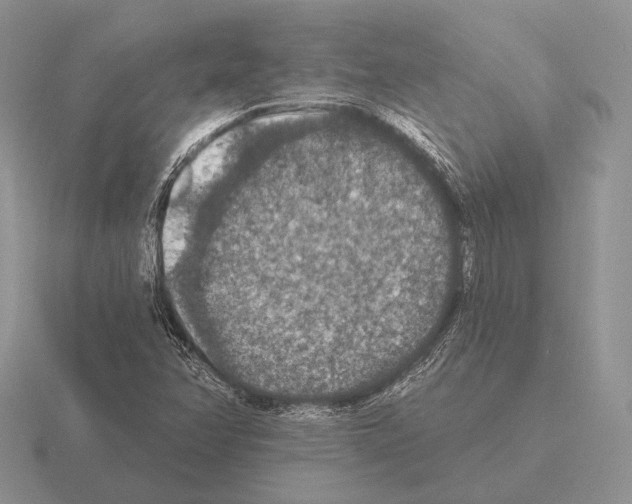 X0000115401358200912151512