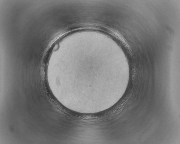 X0000115401360200912151512