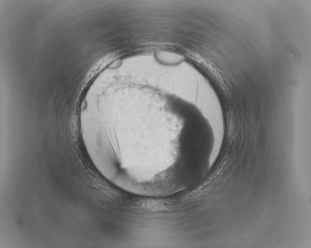 X0000115401362200912151512