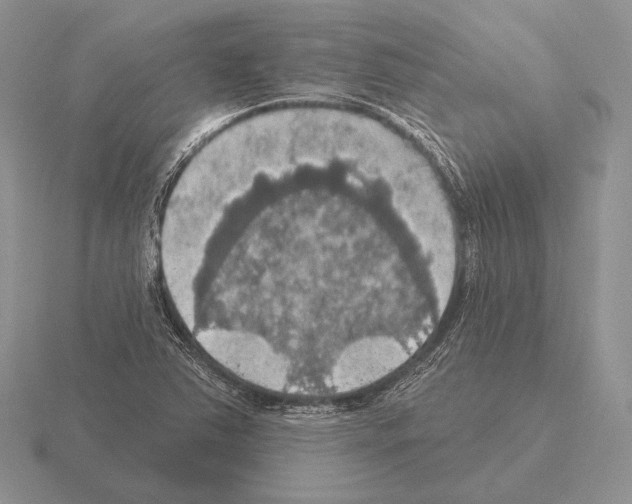 X0000115401363200912151512