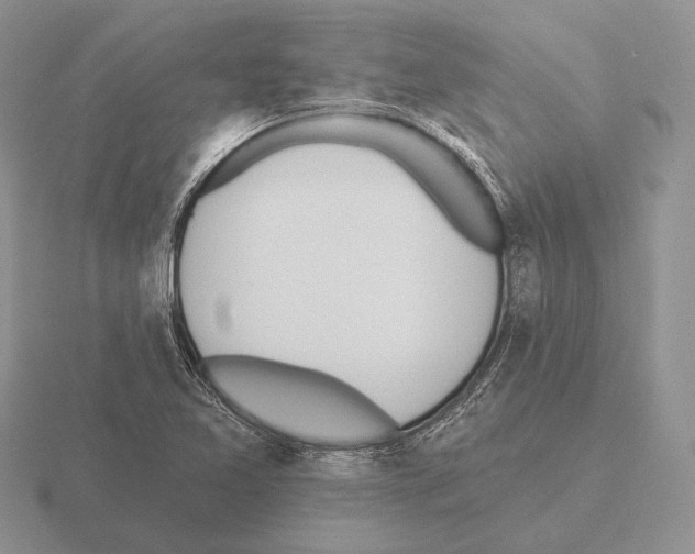 X0000115401365200912151512