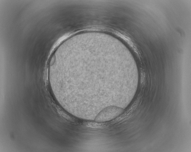 X0000115401366200912151512