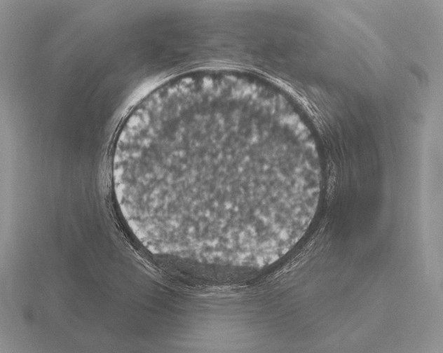 X0000115401367200912151512