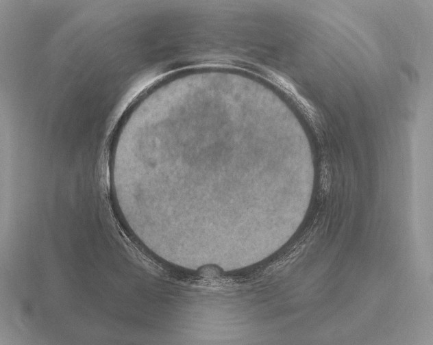 X0000115401368200912151512