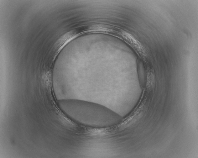 X0000115401369200912151512