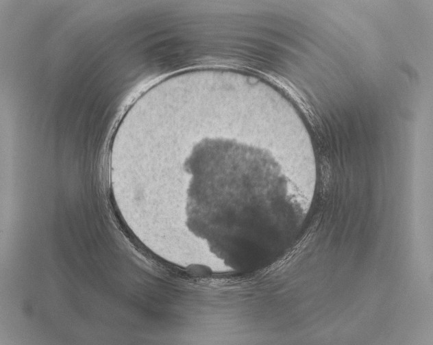 X0000115401371200912151512