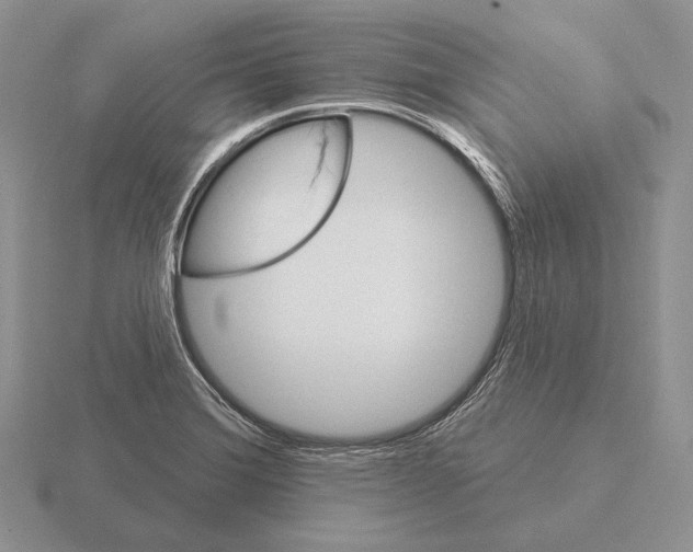 X0000115401372200912151512