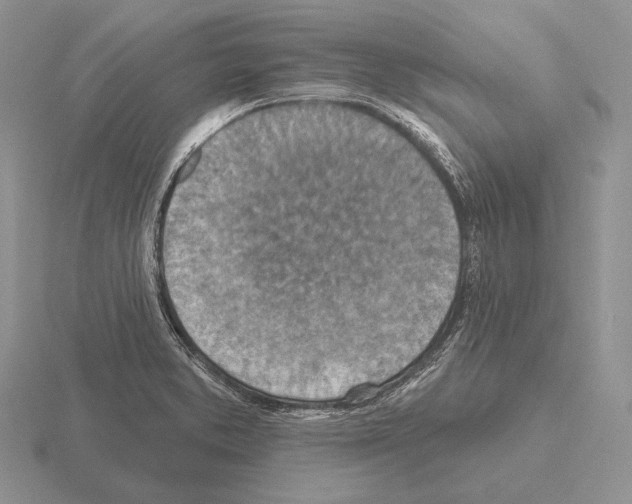 X0000115401373200912151512