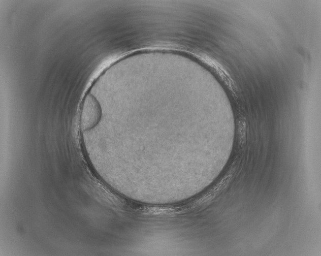 X0000115401374200912151512