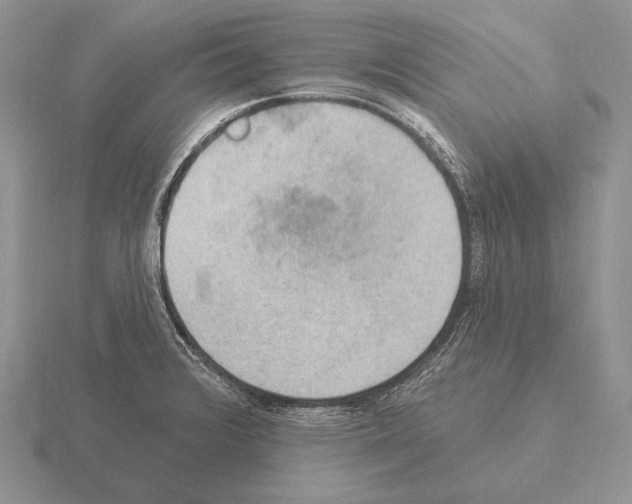 X0000115401376200912151512