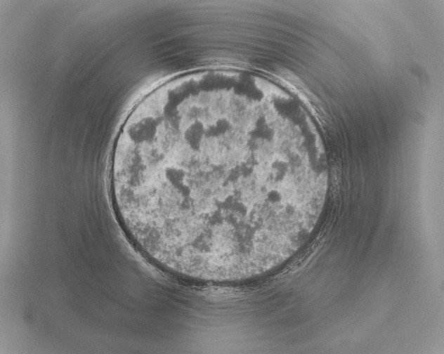 X0000115401379200912151512