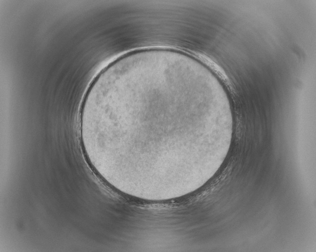 X0000115401380200912151512