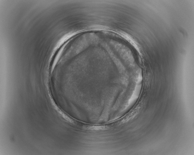 X0000115401381200912151512