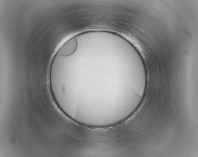 X0000115401382200912151512