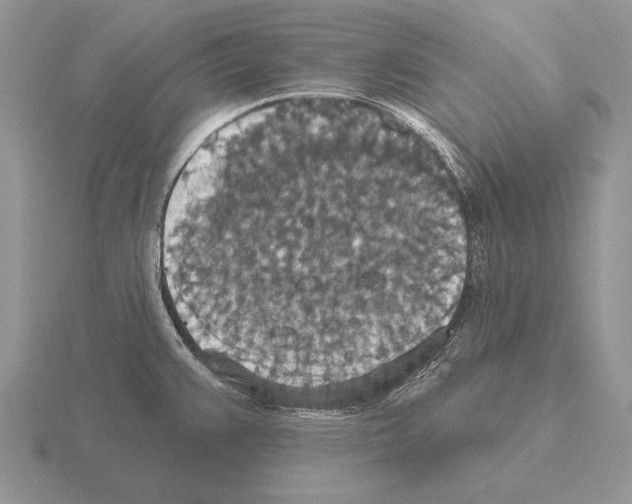 X0000115401383200912151512