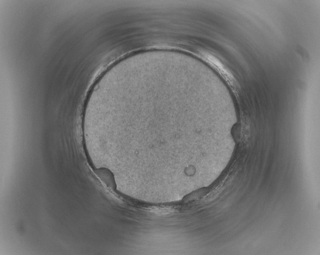 X0000115401384200912151512