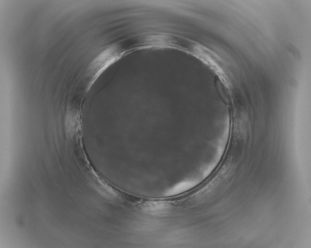 X0000115401385200912151512