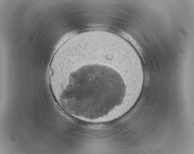 X0000115401386200912151512