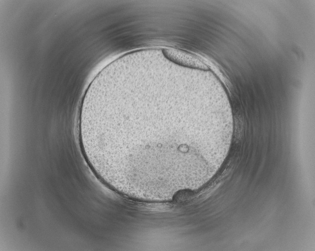 X0000115401387200912151512