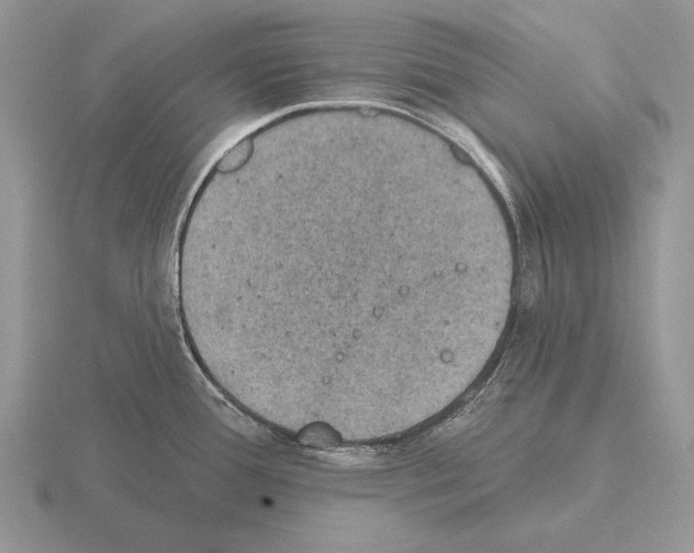 X0000115401388200912151512