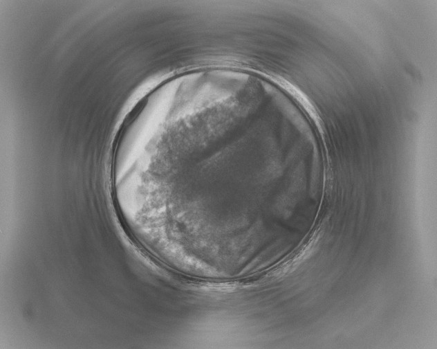 X0000115401389200912151512