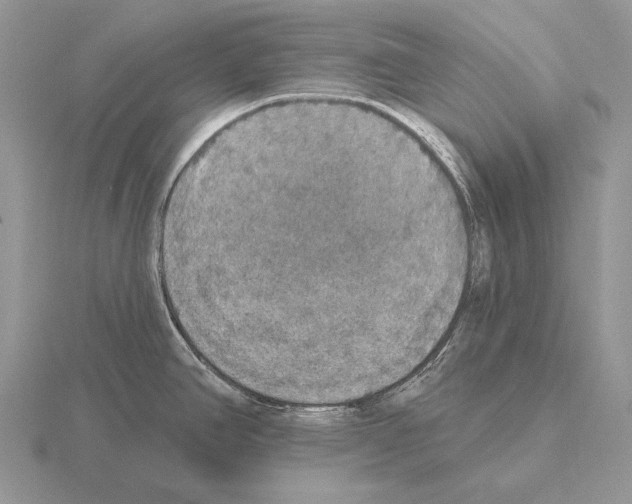 X0000115401390200912151512