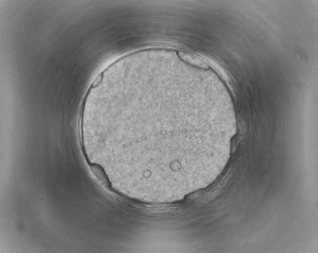 X0000115401391200912151512