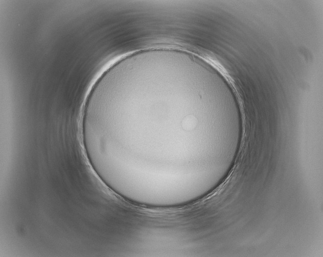 X0000115401392200912151512