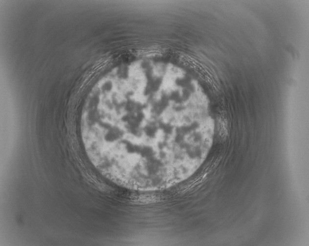 X0000115401393200912151511