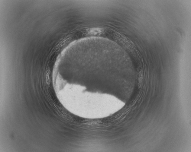 X0000115401394200912151511