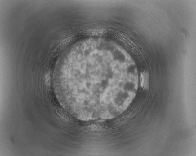 X0000115401395200912151511