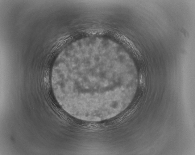 X0000115401396200912151511