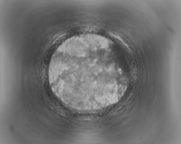 X0000115401399200912151511