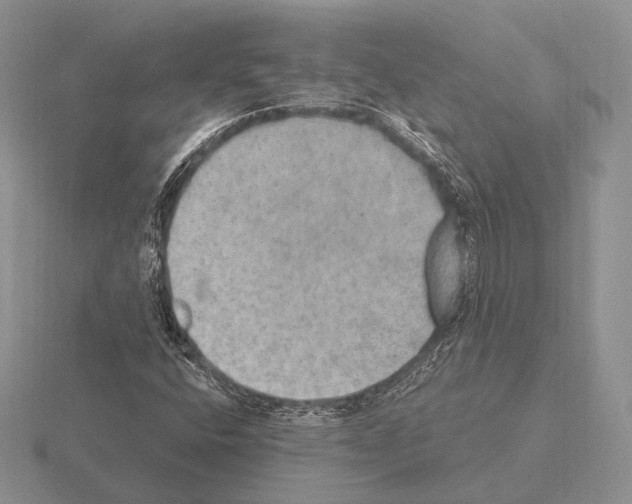 X0000115401400200912151511