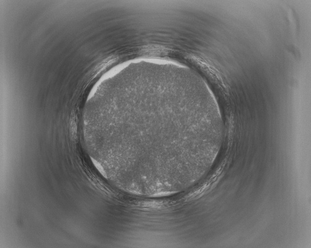 X0000115401401200912151511