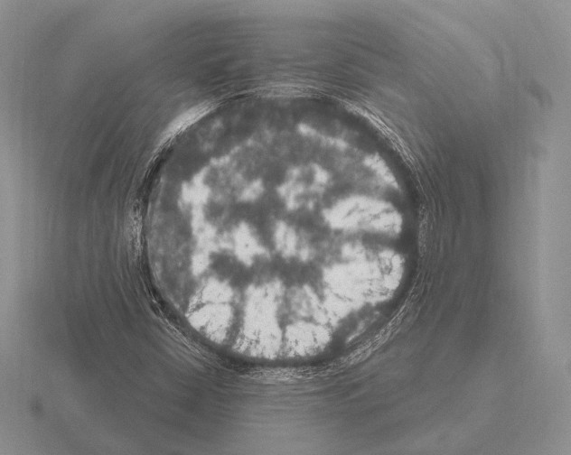 X0000115401402200912151511