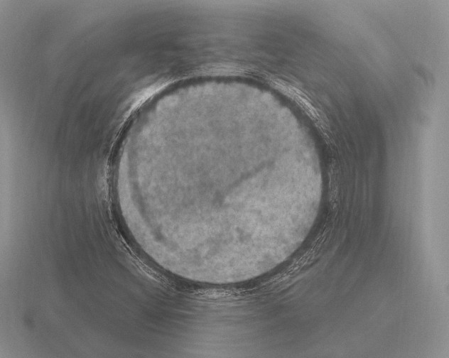 X0000115401404200912151511