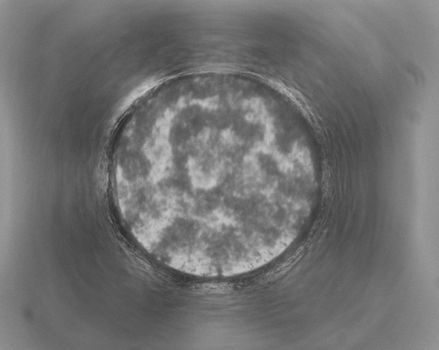 X0000115401406200912151511