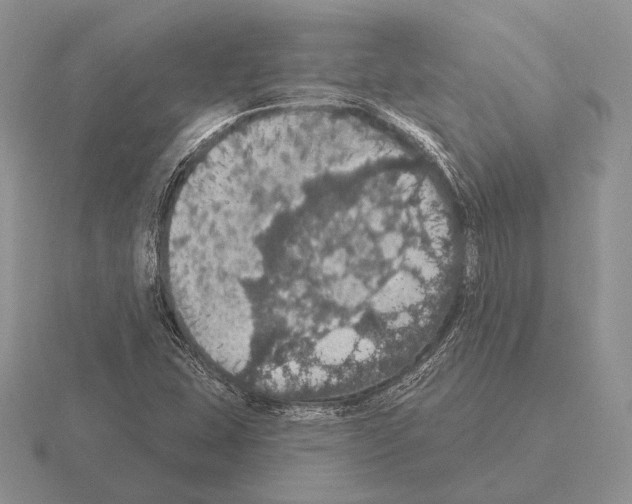 X0000115401407200912151511