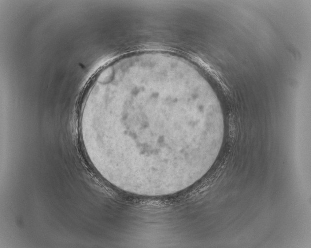 X0000115401408200912151511