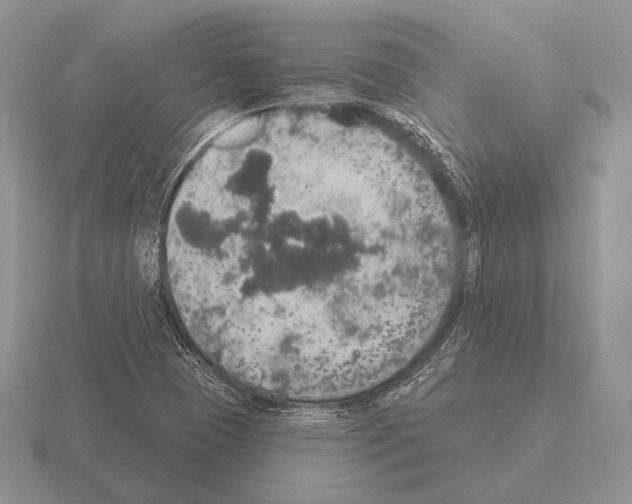 X0000115401409200912151511