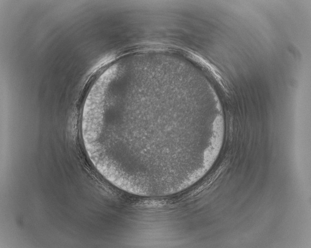 X0000115401411200912151511