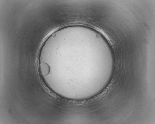 X0000115401413200912151511