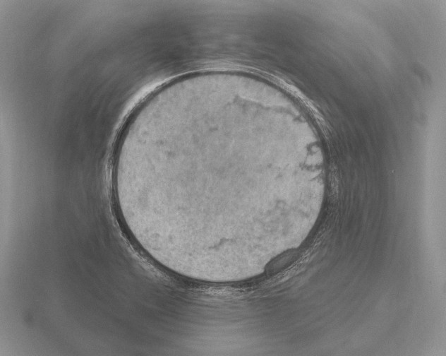 X0000115401416200912151511