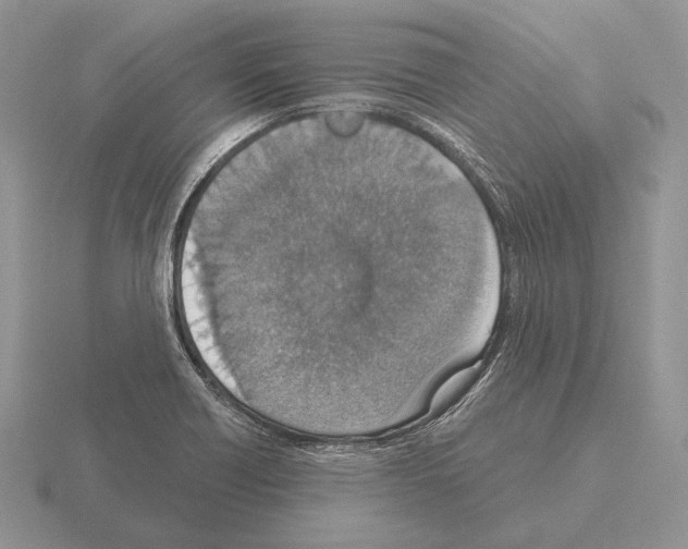 X0000115401418200912151511