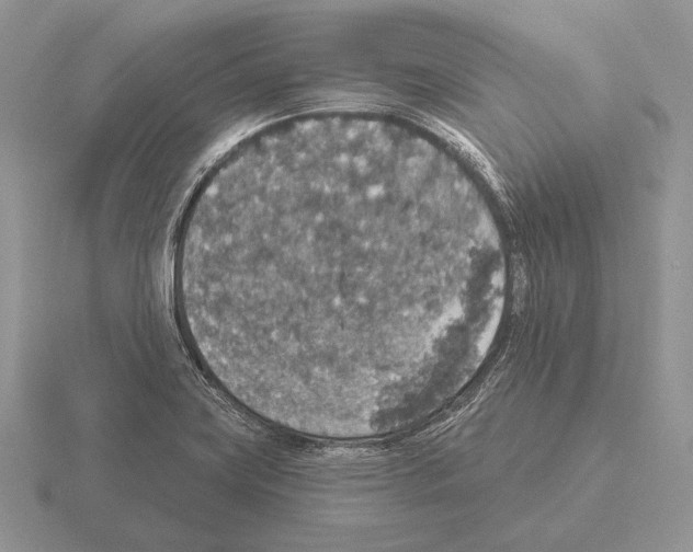 X0000115401419200912151511