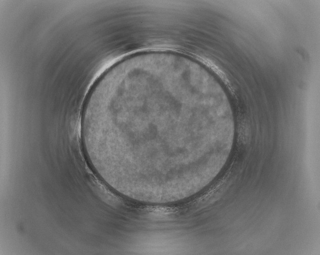 X0000115401420200912151511