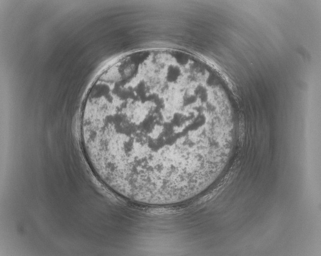 X0000115401421200912151511