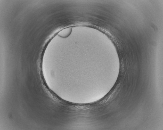 X0000115401422200912151511