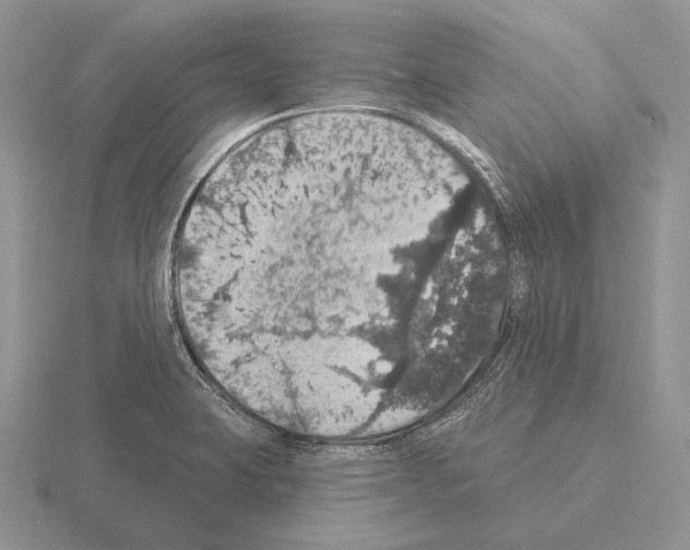 X0000115401423200912151511